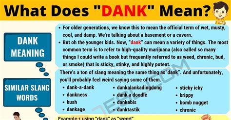 dank memer meaning.